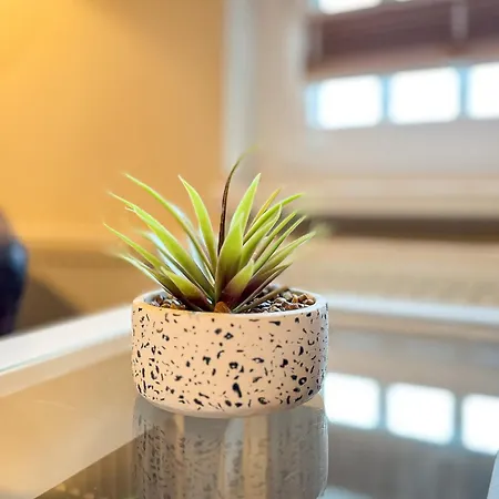 Apartmán Strandvilla Krabbe 07