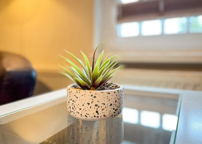 公寓 Strandvilla Krabbe 07